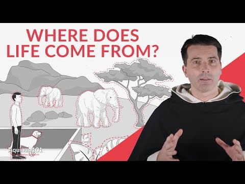 Where Does Life Come From? Evolution and God's Creation