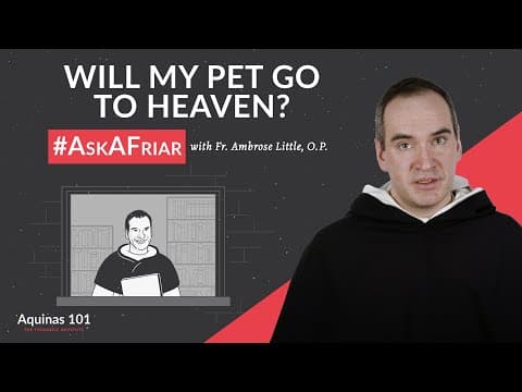 video-thumbnail