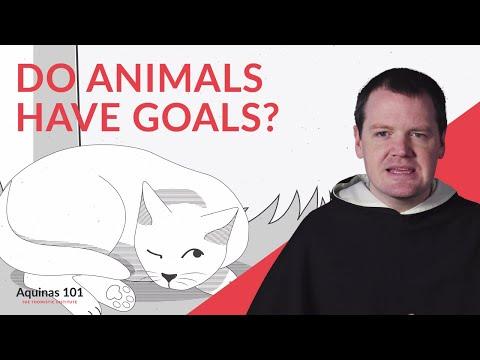 video-thumbnail
